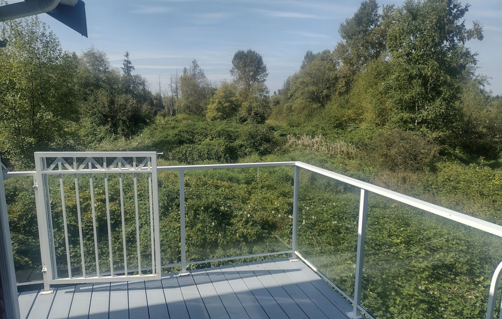 View of the back property from the deck (with foliage!)
