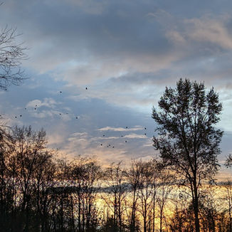 Western views, as seen from the living room and deck