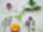 Journal IMG_8361_edited.jpg