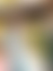 6 kinh nghiệm “vàng” giúp hoàn tiền mua sắm dễ dàng dành cho gen Z