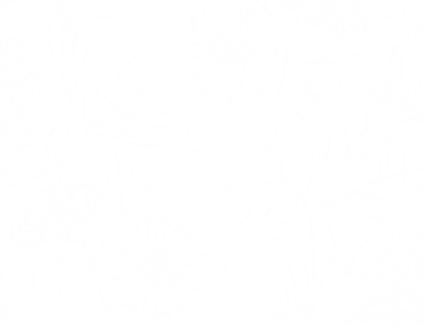 background3