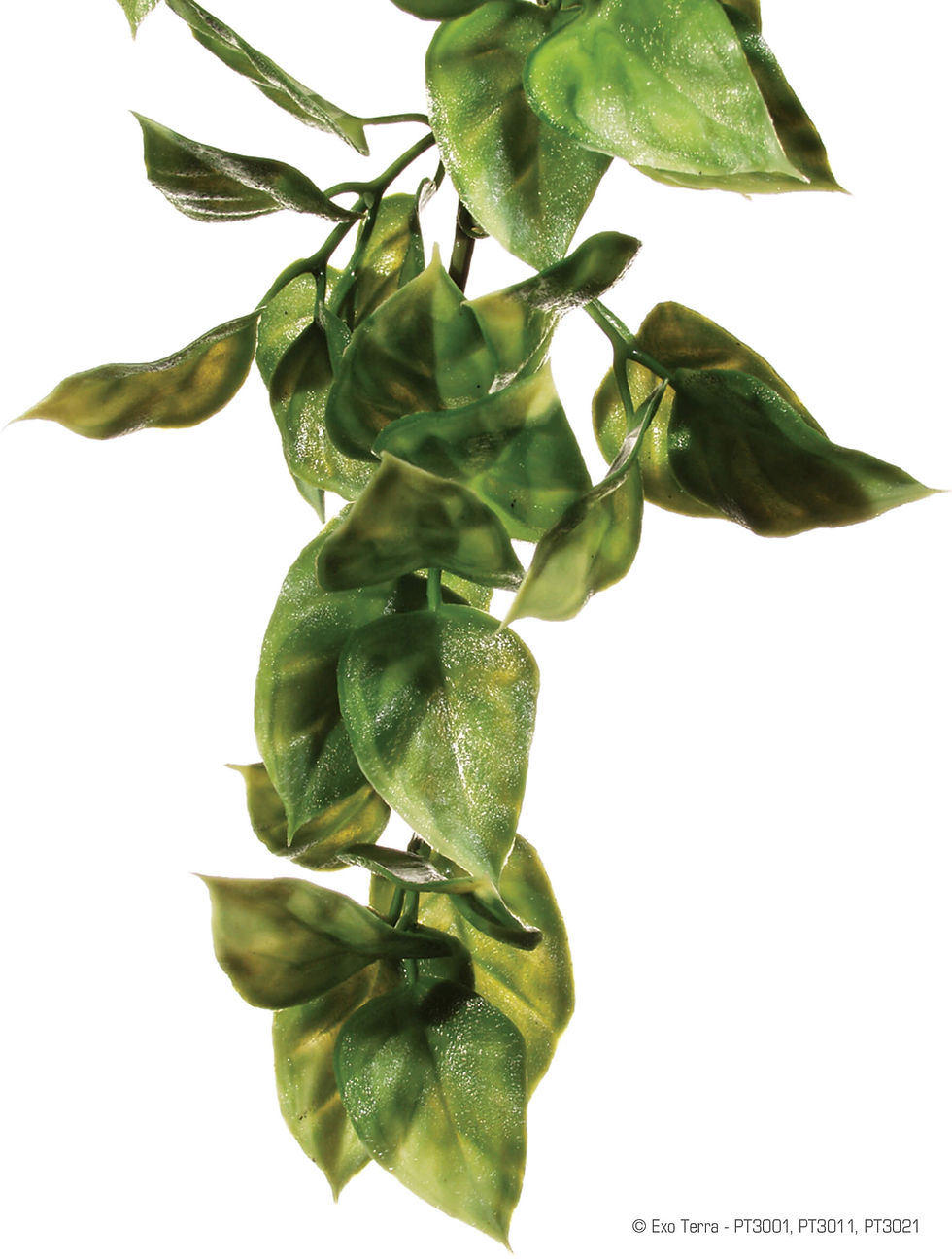 exo terra plastic reptile plant