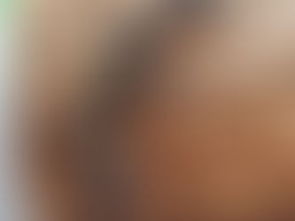 How To Look After Your Hainan Cave Gecko