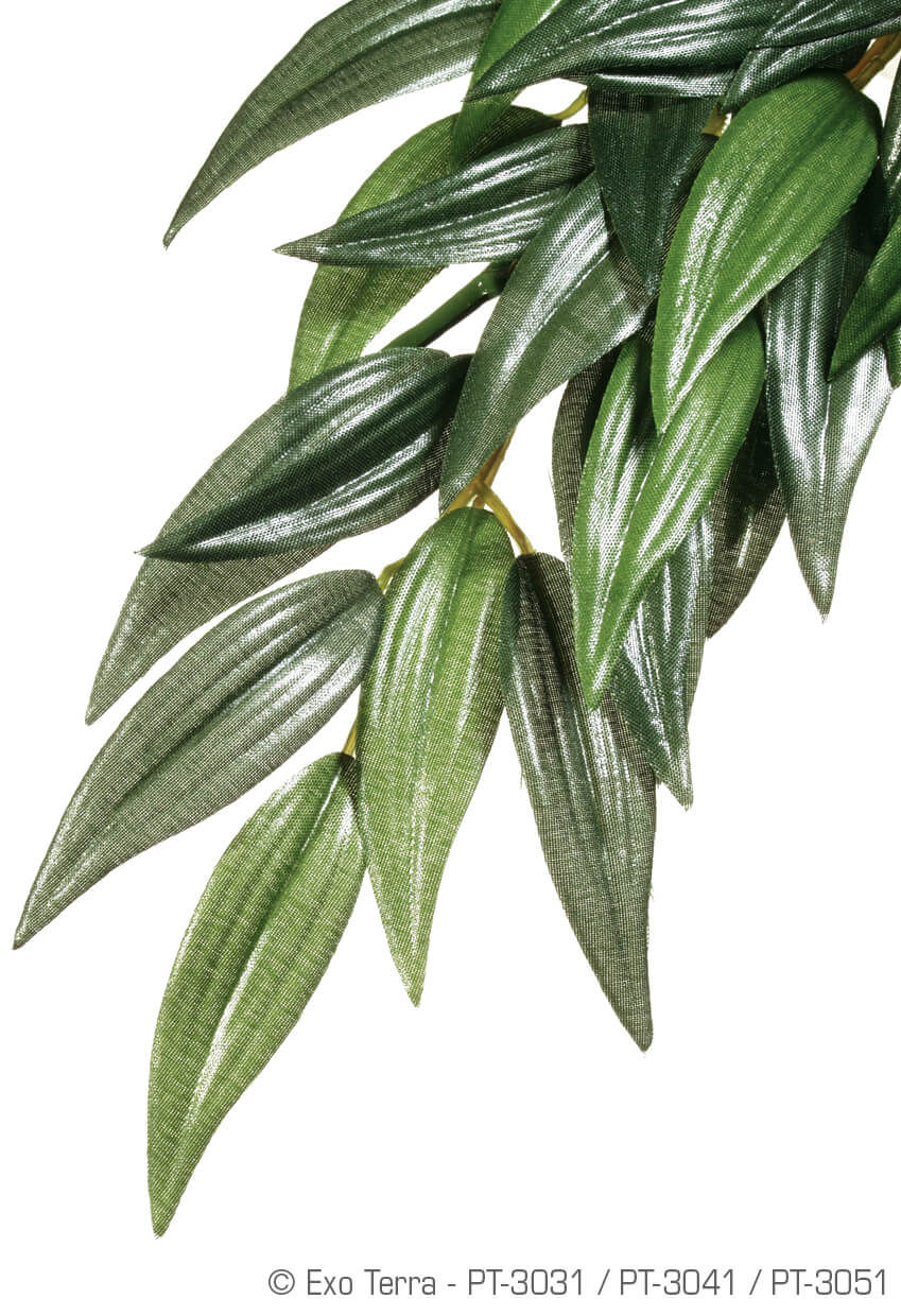 exo terra silk reptile plant