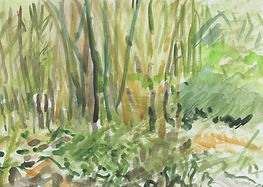Garden Sketch 6 3.jpeg