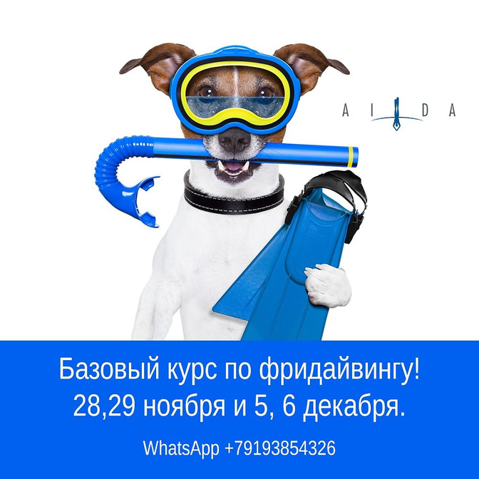 Научиться фридайвингу в Екатеринбурге можно в конце ноября