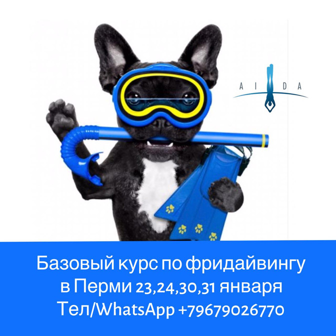 Обучение фридайвингу в Перми. Успей записаться на курс.