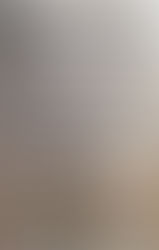 UMA PAUSA DELICIOSA: GOURMET BURGER, E UM POUCO DE COQUEIROS.