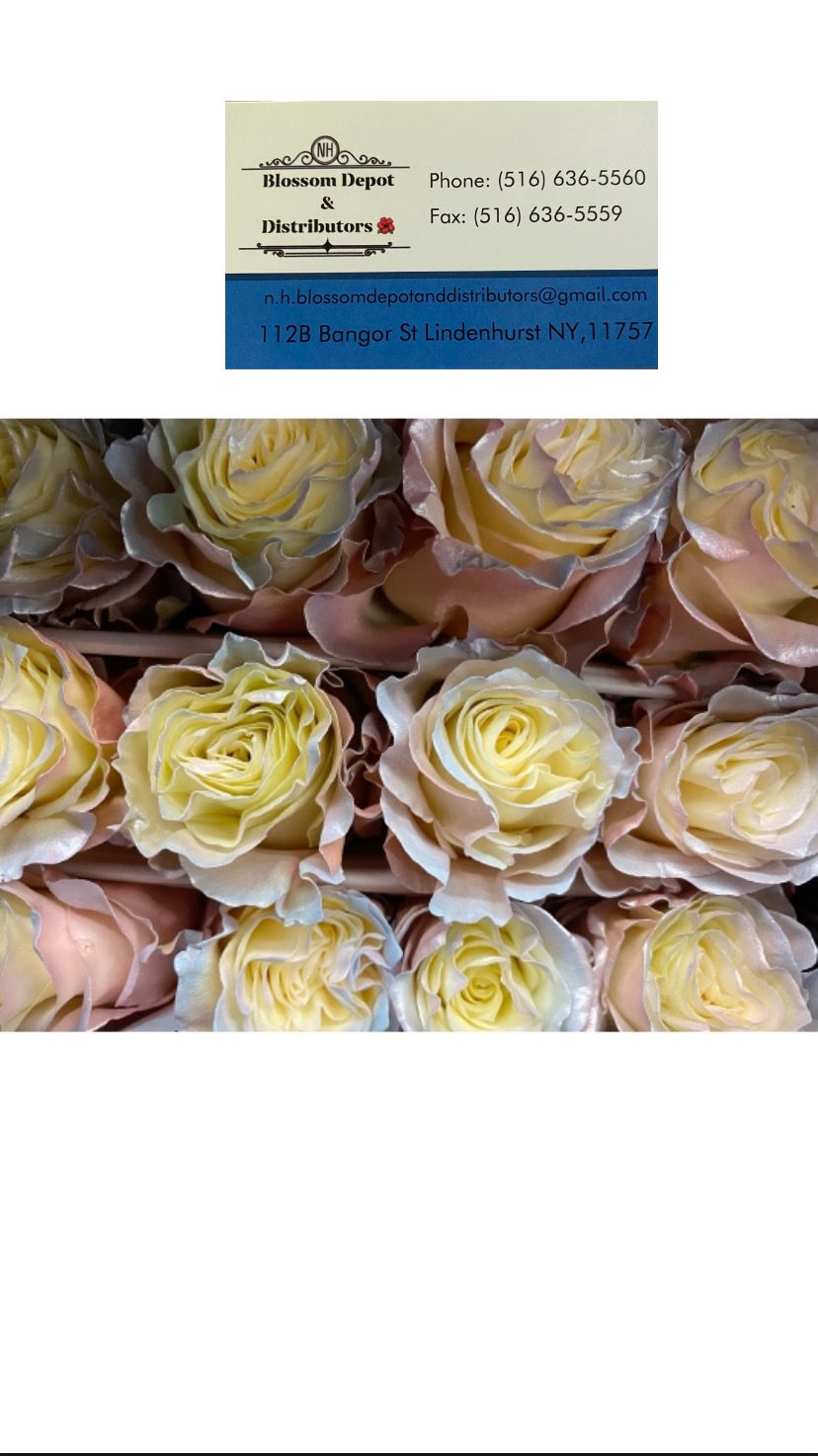 Thumbnail: Tinted Roses 