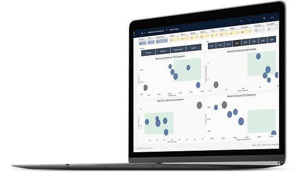 Workforce Productivity and HR Benchmarking