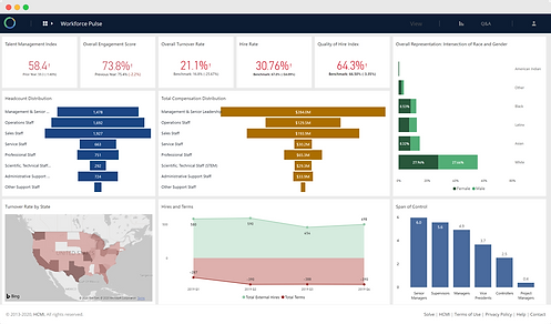 HCMI Project Consulting WFA
