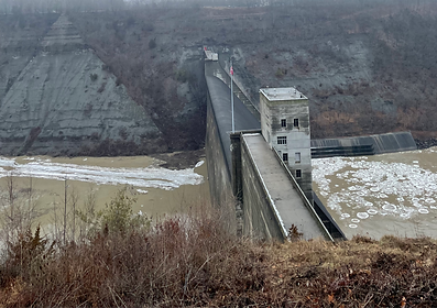 IMG_2361 2_edited.png