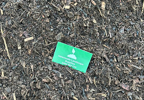 Garden Soil