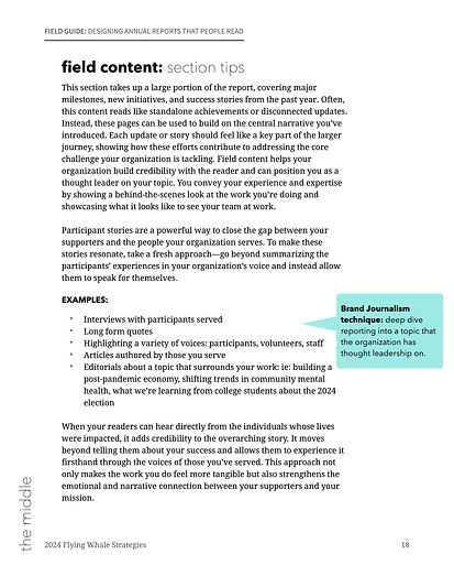 Field Guide- Annual Reports-sample.jpg