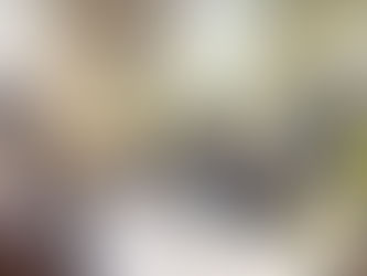 Préinscriptions en ligne - Session 2026