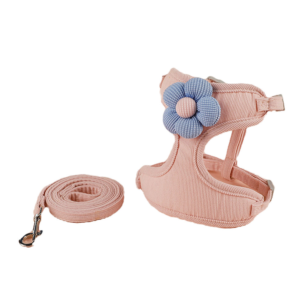 Thumbnail: The BlossomLuxe Cat Harness & Lead