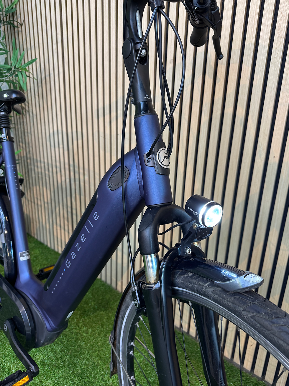 Thumbnail: Gazelle Grenoble C7+