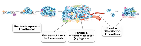 Tumor evolution image