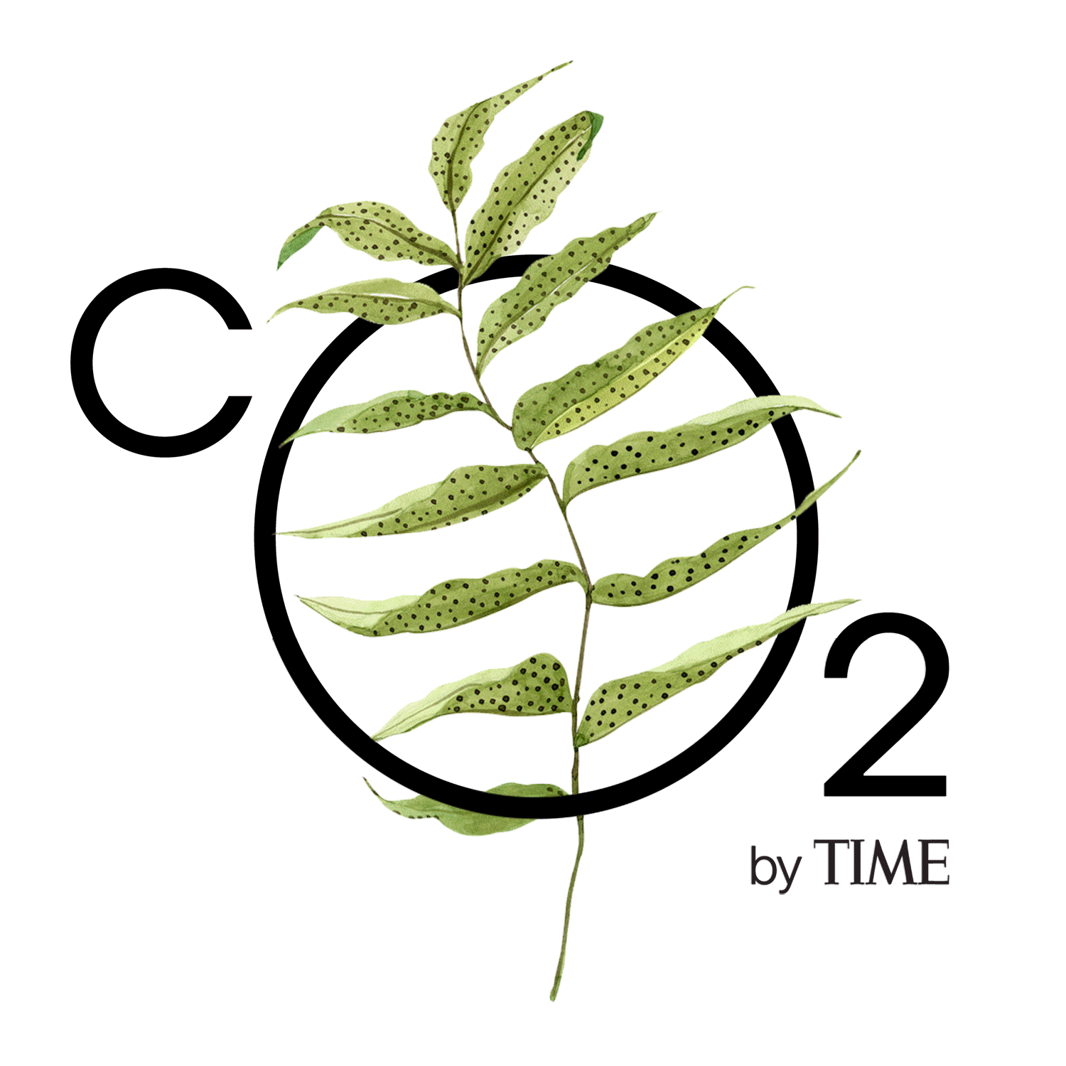 TIME_logo_animated.gif