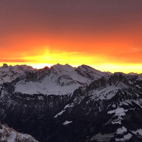 World in flames: why are protests raging around the globe?