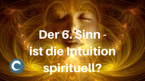 Neues online Interview!