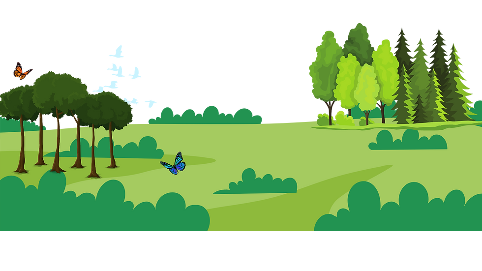 Truffle Consulting | Sales force, AWS, and Mulesoft | Sales cloud