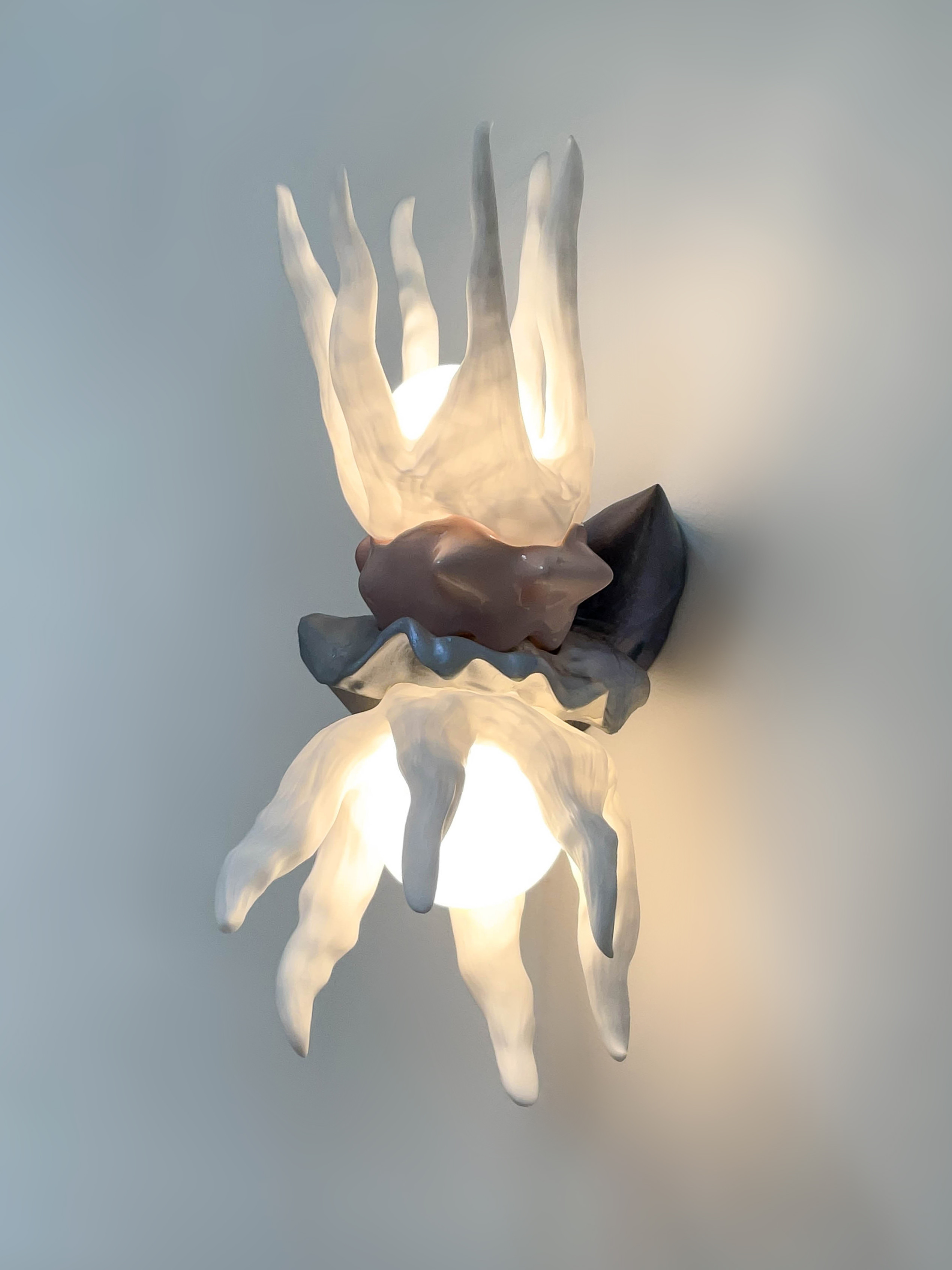 Clam Season Wall Lamp