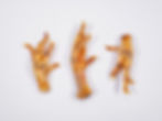 Chicken Feet 1