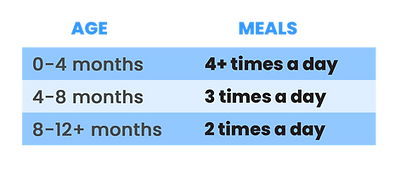 meal chart kittens.png
