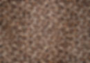 free-leopard-print-background-vector.jpg