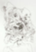 14650578_1001230636689594_8161689769918206520_n