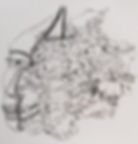 14650710_1001230750022916_80396537155299264_n