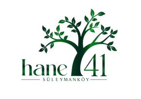 hane-41.png
