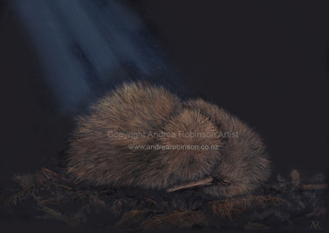 Two Little Kiwis - original oil on canvas, framed