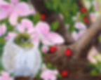 Spring Abundance - limited edition print on Ilford premium paper