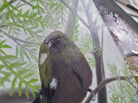Korimako/Bellbird painting
