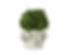 Screenshot 2025-04-12 at 6.47.39 PM.png