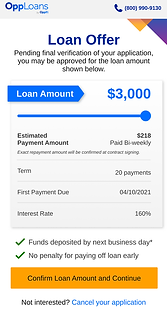 Loan Summary Page - Interim Phase 6.png