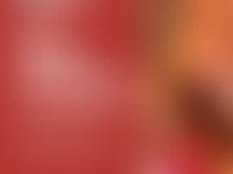 Turkey At Thanksgiving | FREE Turkey Giveaway in Hamilton