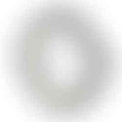 Sicoma mixer spare parts 0228G0008L1 sealing station