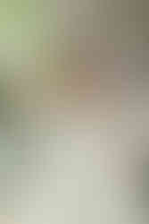 Elegant bridal gown with supportive lace straps, flowing silk skirt, and back buttons.