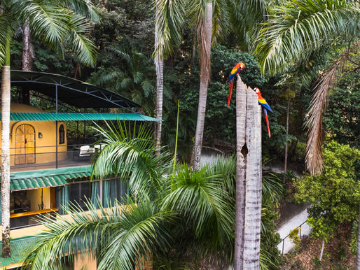 Boutique Hotel Las Cascadas — best boutique hotel in Manuel Antonio Costa Rica surrounded by tropical jungle