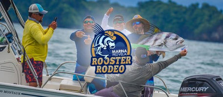 Rooster Rodeo tournament, offshore tournament, Boutique Hotel, Quepos, Manuel Antonio, Marina Pez Vela, Sportfishing, Bill fishing, sportfishing Tournament, Manuel Antonio Hotels, Quepos Hotels, Costa rica sportfishing