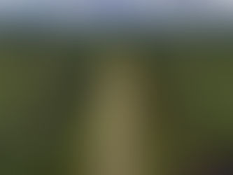 Roads of Costa Rica, heading to Manuel antonio and Quepos, where Marina pez vela and the Manuel Antonio National park is located