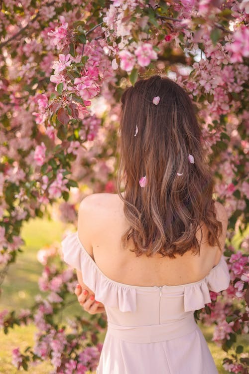 Writer: Tina's Blossom Life