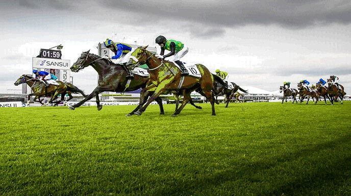 Master Sabina wins the Gauteng SANSUI Cup 2015