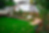 jpeg-optimizer_DSC_2758.jpg