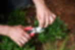 jpeg-optimizer_DSC_9079.jpeg