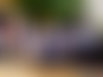 Workshop on Sexual Orientation, Gender Identity and Expression, and Sex Characteristics (SOGIESC)