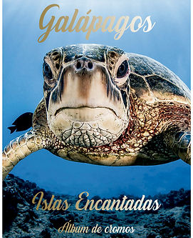 portada.jpg